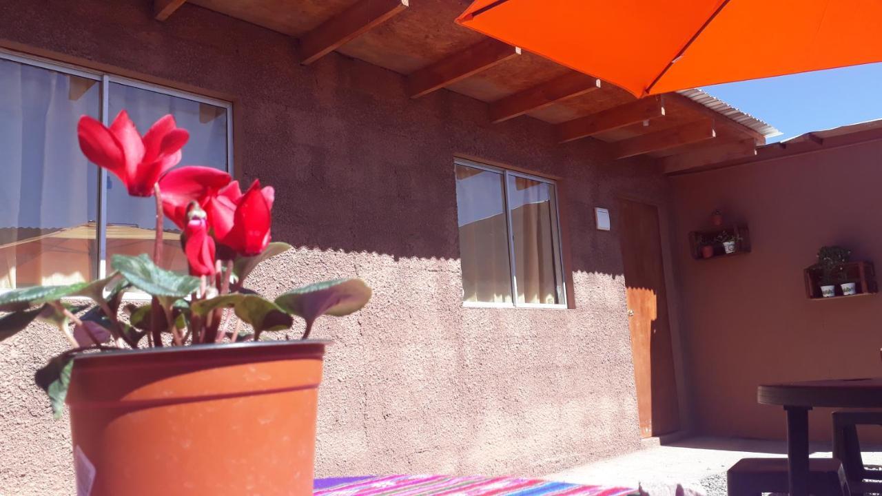 Hostal Open House سان بيدرو دي أتاكاما المظهر الخارجي الصورة